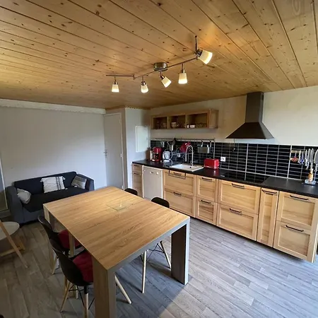 Chaleureux Duplex Avec Balcon Pres Des Pistes - Fr-1-787-16 Apartment Saint-Jacques-des-Blats