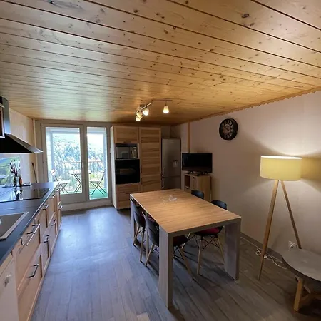 Apartment Chaleureux Duplex Avec Balcon Pres Des Pistes - Fr-1-787-16