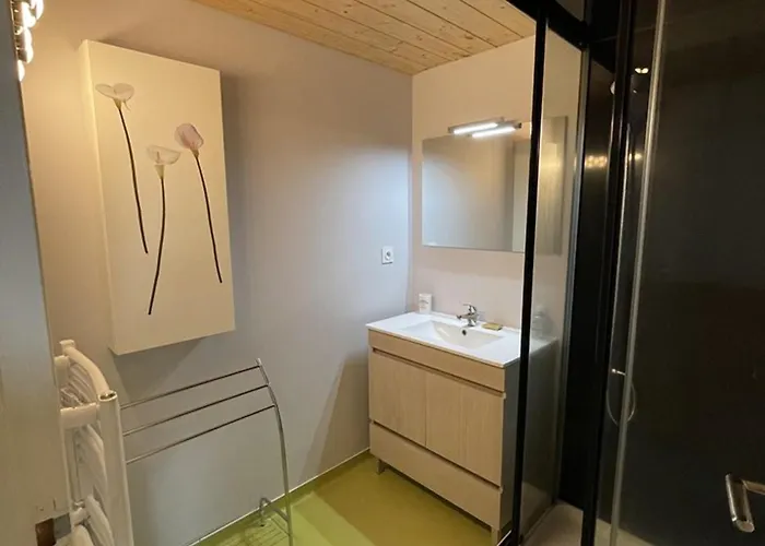 Bel Duplex Proche Des Pistes Avec Balcon Et Parking - Fr-1-787-16 Saint-Jacques-des-Blats