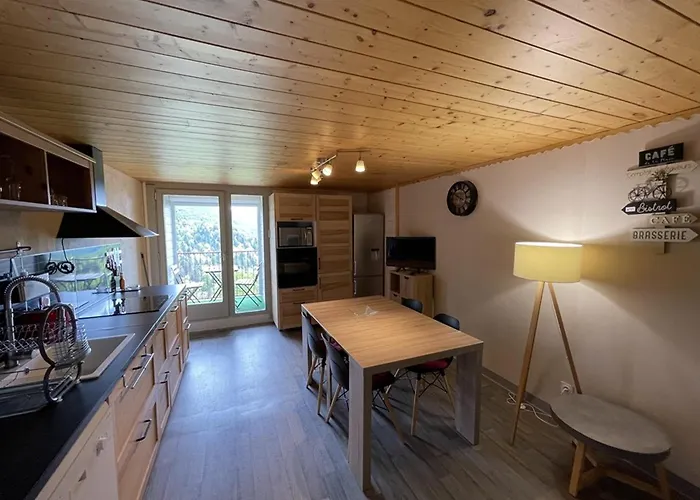 Apartman Bel Duplex Proche Des Pistes Avec Balcon Et Parking - Fr-1-787-16